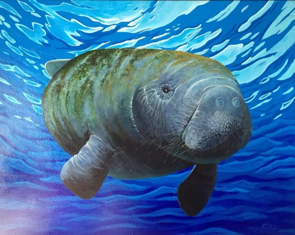 GENTLE GIANT MANATE ACRYLIC ON CANVAS SOLD