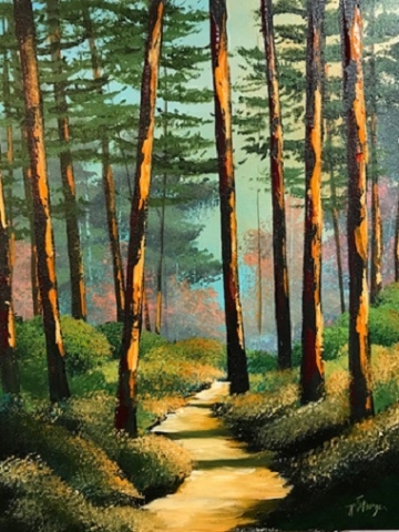 "SUNSET IN THE PINES" 20x16 SOLD